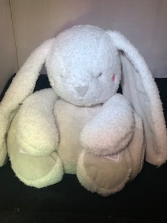 Bunny Holding a blanket